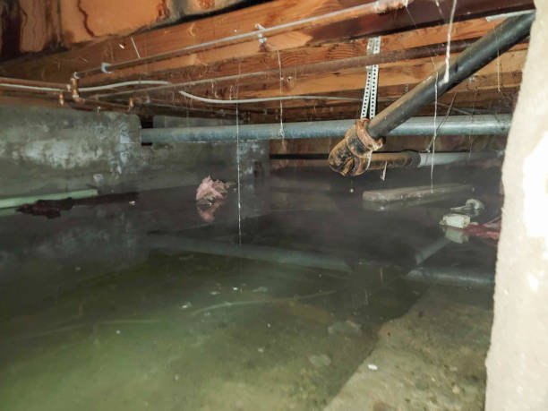 Best Water damage restoration services  in Garden City, NY