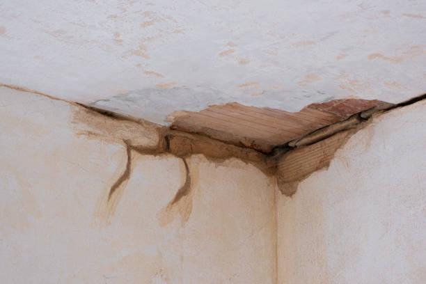 Best Flood restoration services  in Garden City, NY