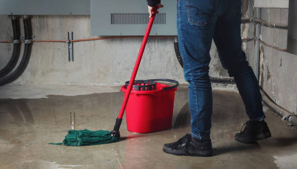 Best 24/7 water damage repair  in Garden City, NY