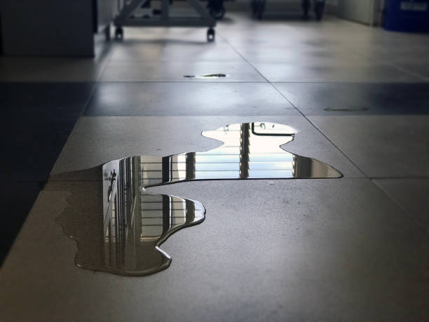 Best Water damage repair service  in Garden City, NY
