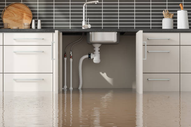 Best Professional water damage repair  in Garden City, NY