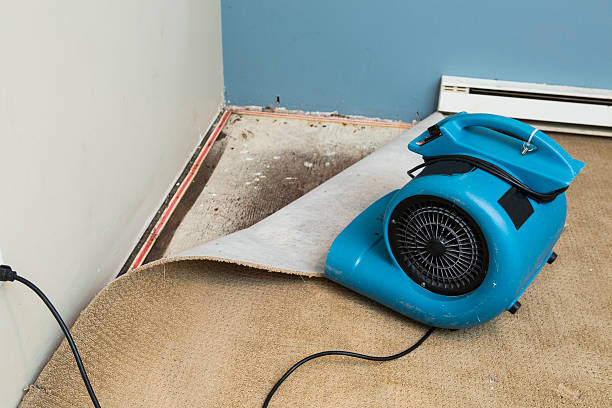 Best Water damage contractors near me  in Garden City, NY